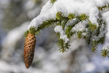 В Башкирии стали известны даты зимних каникул в школах